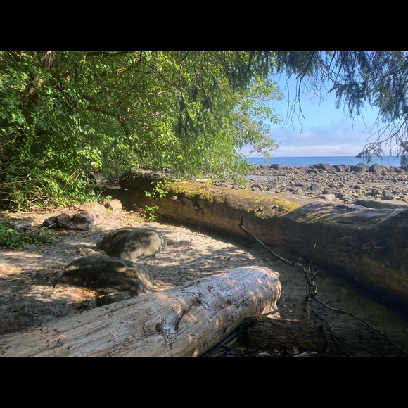 Meet your Posher, June - Picture 1 of 1